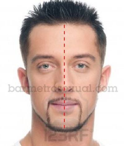 saber formato do rosto masculino 2